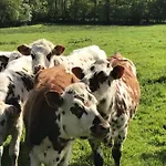 Escale De Gerbold 3* Gratot