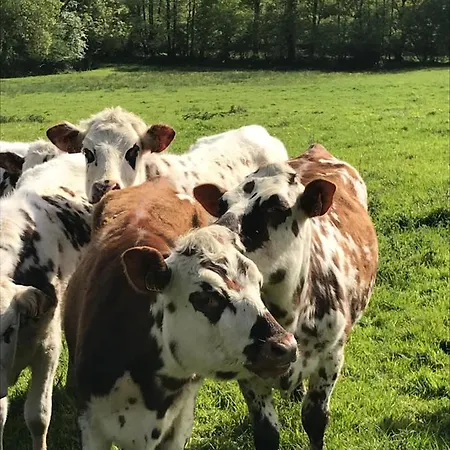 Escale De Gerbold 3* Gratot