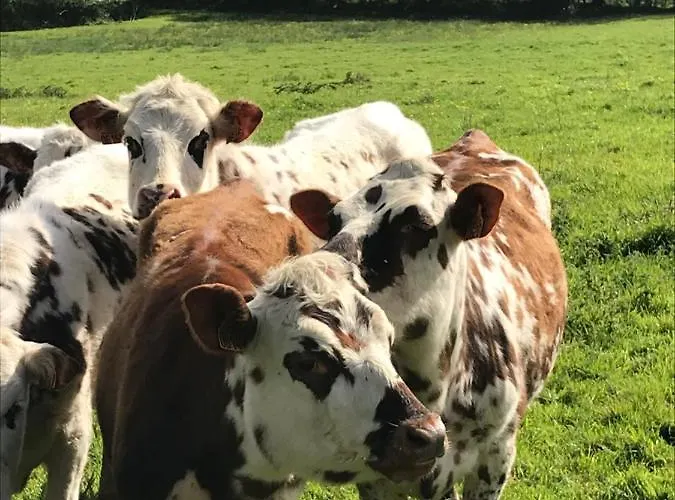 Escale De Gerbold 3* Gratot